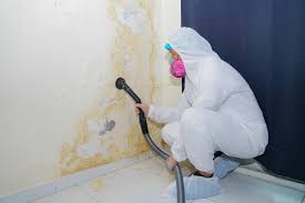 Biohazard Mold Removal in Gladeview, FL